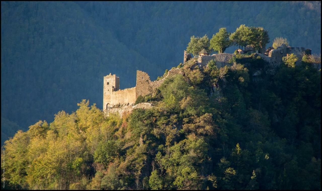 La Forge D'Andribet Vila Axiat Exterior foto
